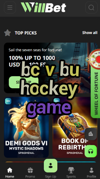 BC vs BU Hockey Game Information-vz72fvrf.com